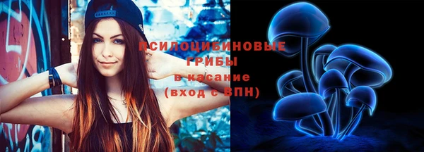 прущие грибы Алексин