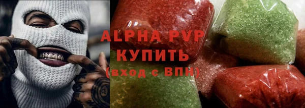 гидра Новозыбков