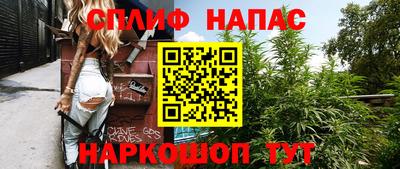 амф Гай