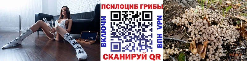 купить  сайты  Набережные Челны  Псилоцибиновые грибы Psilocybine cubensis 